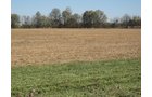 Property photo 38 - 110+/- Acres offered in 4 Tillable Tracts